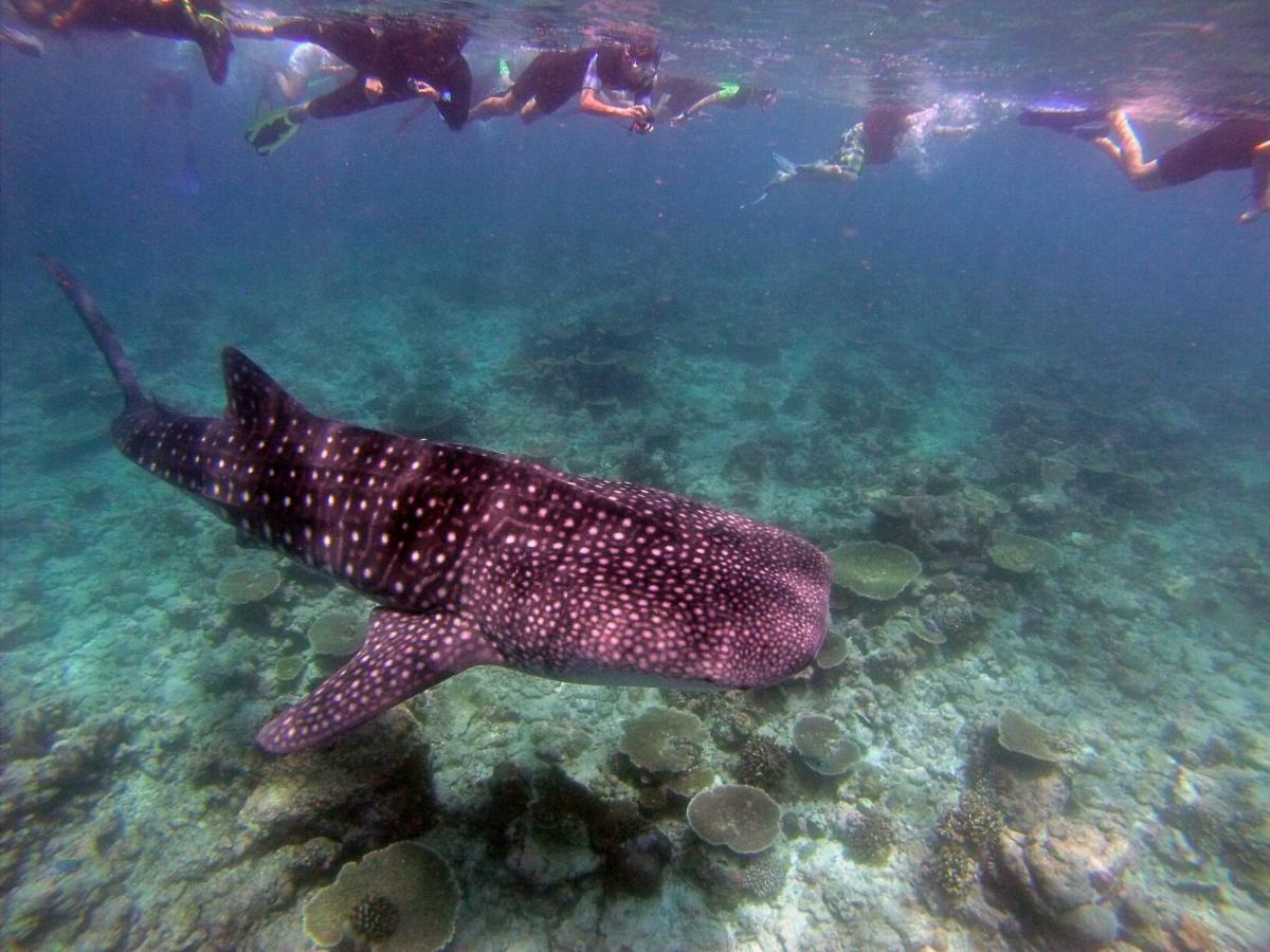 Atollkey Beach Villa Dhigurah  Eksteriør bilde